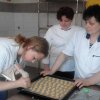 Kolejna edycja warsztatów kulinarnych