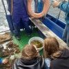 1TP/1G na rejsie po Zatoce Puckiej 2