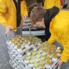 Zapal światełko dla Hospicjum 2024