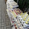 Zapal światełko dla Hospicjum 2024
