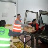 Staż uczniów PCKZiU w Pucku w Bancosol Alimentos
