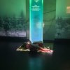 Konferencja „Przeszłość i przyszłość naszego kontynentu”