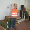 Logistycy i informatycy na stażu w Maladze