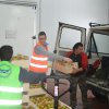 Logistycy i informatycy na stażu w Maladze