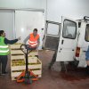 Logistycy i informatycy na stażu w Maladze
